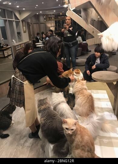 Aktueller Firmenfall über Spezifisches Kundenfeedback (Anonyme Zusammenstellung)